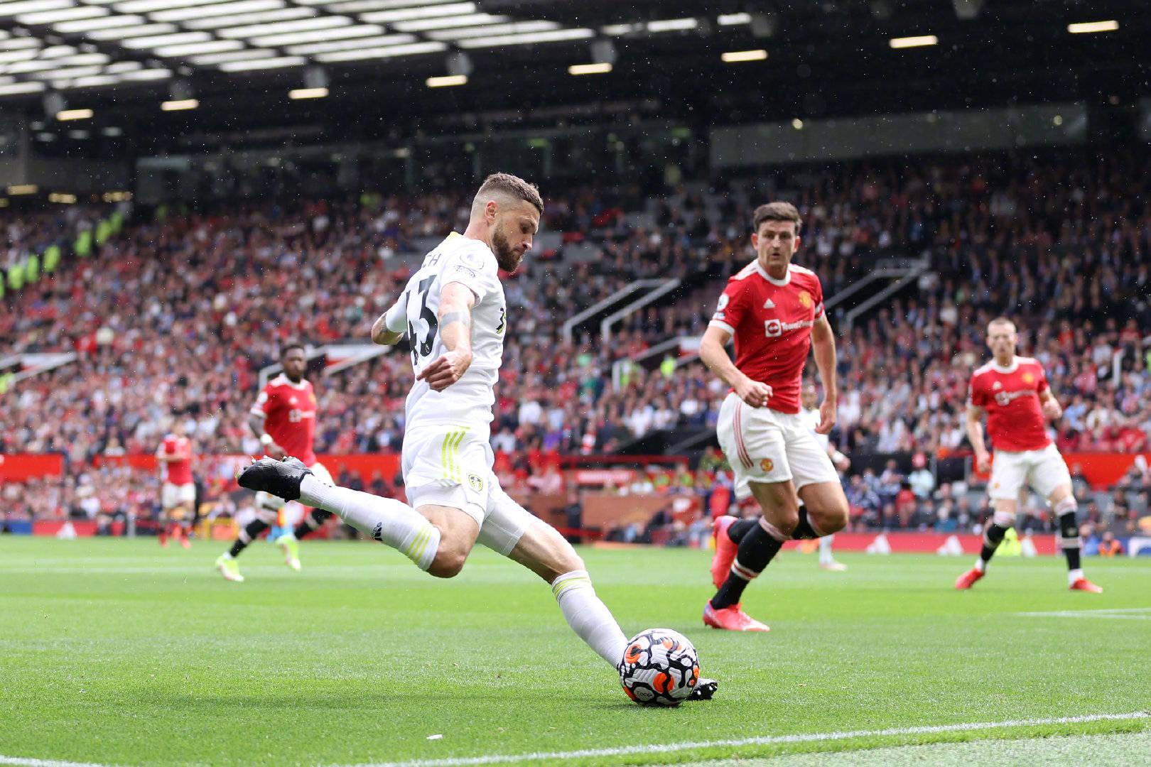 势必将促进 势必将促进